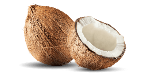 coconut