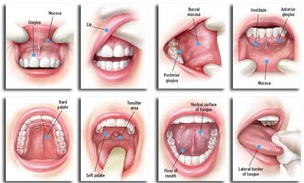 oral-cancer-screening-