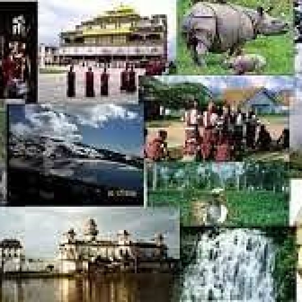 India dental tourism
